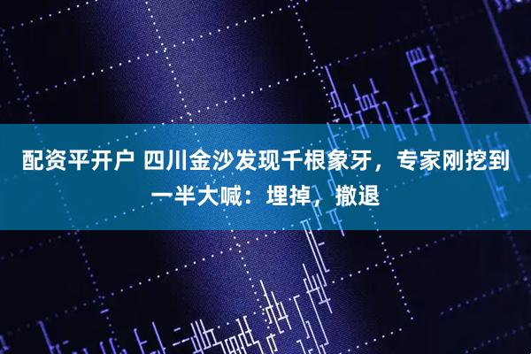 配资平开户 四川金沙发现千根象牙,专家刚挖到一半大喊:埋掉,撤退