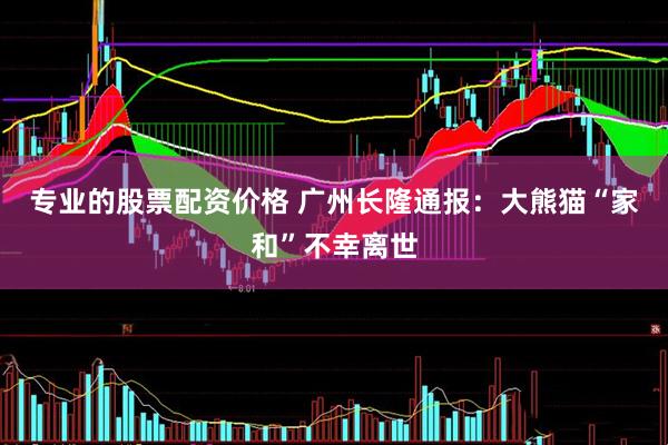 专业的股票配资价格 广州长隆通报：大熊猫“家和”不幸离世